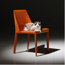 Modern Luxury Saddle Chairs with a Homey Feel for Loft Style Industrial Decor in Restaurants and Hotels Modern Luxury Saddle Chairs with a Homey Feel for Loft Style Industrial Decor in Restaurants and Hotels