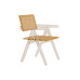 Mid Century Rattan Chairs with Acrylic Designer Backs for Home Use