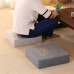 Thick Tatami Floor Cushion for Living Room and Bedroom Winter Heightening