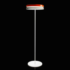 Tronconi Toric Floor Lamp Of Large Size