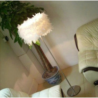 Modern Simple Feather Floor Lamp Straight Pole Of Small Size