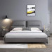 Double Bed Storage Light Luxury Nordic Minimalist Modern Small Apartment Soft Bed Wedding Bed