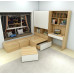 Customized TATAMI Bed Storage Cube Combination Bed for Hong Kong Small House