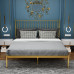 Iron Bed Double Single Princess European Simple Modern Bed Iron Frame Bed Rental House Iron Bed Double Single Princess European Simple Modern Bed Iron Frame Bed Rental House
