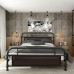Modern Minimalistic Iron Bed Frame Single Double Luxury Bed