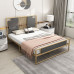 Modern Minimalist Luxury Stainless Steel 150cm Double Bed with Mattress Single Iron Frame Bed Modern Minimalist Luxury Stainless Steel 150cm Double Bed with Mattress Single Iron Frame Bed