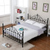 Modern Minimalistic Iron Bed Princess Iron Bed Meters Single Bed for Kids Meters Double Bed Iron Frame Bed