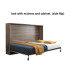 Electric Folding Hidden Bed Cabinet for Small Spaces