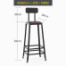 Modern High Back Bar Stool