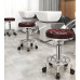 Modern Swivel Adjustable Stool Modern Swivel Adjustable Stool