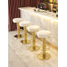 Modern Adjustable Bar Stool