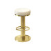 Modern Adjustable Bar Stool