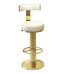Modern Adjustable Bar Stool