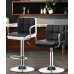 Modern Adjustable Barstool