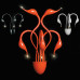 Fabio Fornasier Swan Wall Light Fabio Fornasier Swan Wall Light
