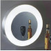 Style Wall Light Of Medium Size Style Wall Light Of Medium Size