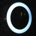 Style Wall Light Of Medium Size Style Wall Light Of Medium Size