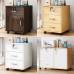 Wooden Locked Cabinet Mobile Storage Cabinet Drawer Cabinet with Wheels Under Desk Storage Cabinet Low Cabinet Wooden Locked Cabinet Mobile Storage Cabinet Drawer Cabinet with Wheels Under Desk Storage Cabinet Low Cabinet