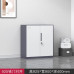 Office Metal Filing Cabinet Sliding Door Low Cabinet Storage Cabinet with Lock File Cabinet Data Cabinet Partition Cabinet Office Metal Filing Cabinet Sliding Door Low Cabinet Storage Cabinet with Lock File Cabinet Data Cabinet Partition Cabinet