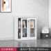 Office Metal Filing Cabinet Sliding Door Low Cabinet Storage Cabinet with Lock File Cabinet Data Cabinet Partition Cabinet Office Metal Filing Cabinet Sliding Door Low Cabinet Storage Cabinet with Lock File Cabinet Data Cabinet Partition Cabinet