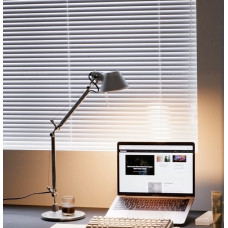 Minimalist Metal Arm Desk Lamp