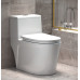 Household Toilet Vortex Rainbow Absorption Toilet Household Toilet Vortex Rainbow Absorption Toilet