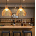 Octo Style Pendant Lamp Birdcage Chandelier Creative Style 1 Octo Style Pendant Lamp Birdcage Chandelier Creative Style 1