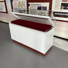 Glass Baked Paint Museum Exhibit Cabinets Glass Baked Paint Museum Exhibit Cabinets