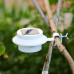 Solar Outdoor Lamp
