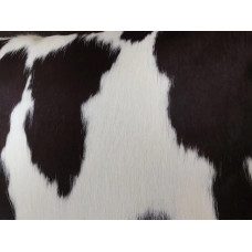 Replacement Cushions For Bubble Chair in Cowhide Leather Replacement Cushions For Bubble Chair in Cowhide Leather
