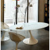 Tulip Oval Table, Made In Fiberglass Tulip Oval Table, Made In Fiberglass