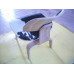 Reproduction LCW Plywood Dining Chair In Cowhide