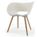 Plastic Tom Vac Chair